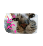 メイ子とたまにハゲ（個別スタンプ：9）