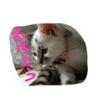 メイ子とたまにハゲ（個別スタンプ：13）
