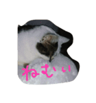 メイ子とたまにハゲ（個別スタンプ：16）