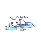 ねこあおちゃん（個別スタンプ：20）