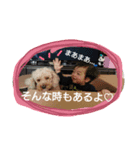 Hiropon4（個別スタンプ：5）