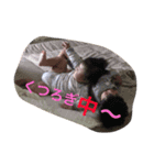 井上兄弟（個別スタンプ：6）