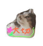 ミントと一緒（個別スタンプ：3）
