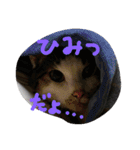 ミントと一緒（個別スタンプ：7）
