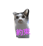 ミントと一緒（個別スタンプ：30）