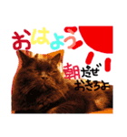 俺の名前はノア！！（個別スタンプ：2）