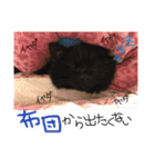 俺の名前はノア！！（個別スタンプ：5）