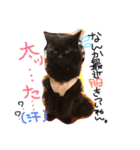 俺の名前はノア！！（個別スタンプ：12）