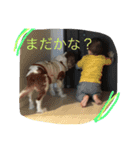 日常/1（個別スタンプ：5）
