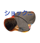 イケイケ小学生KOSEくん（個別スタンプ：17）