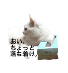 ヒュゴの日常（個別スタンプ：2）