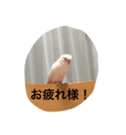 ヒュゴの日常（個別スタンプ：7）