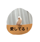 ヒュゴの日常（個別スタンプ：8）