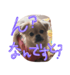 つむぎちゃんのためのスタンプ2（個別スタンプ：9）