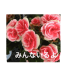 優しい言葉。（個別スタンプ：5）
