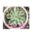 優しい言葉。（個別スタンプ：6）