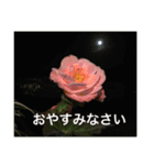 優しい言葉。（個別スタンプ：7）