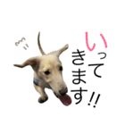 ダックスのダックさん。（個別スタンプ：9）