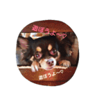 family+m（個別スタンプ：1）