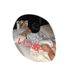 family+m（個別スタンプ：8）