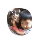 family+m（個別スタンプ：12）