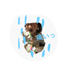 noachansutanpu（個別スタンプ：7）
