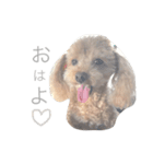 ろんくん 2（個別スタンプ：1）