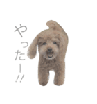 ろんくん 2（個別スタンプ：4）