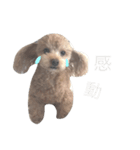 ろんくん 2（個別スタンプ：5）