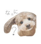 ろんくん 2（個別スタンプ：7）