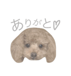 ろんくん 2（個別スタンプ：10）