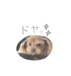 ろんくん 2（個別スタンプ：12）