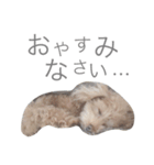 ろんくん 2（個別スタンプ：13）