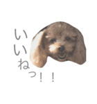 ろんくん 2（個別スタンプ：14）