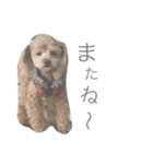 ろんくん 2（個別スタンプ：15）