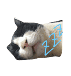 さぶこた（個別スタンプ：2）