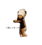 娘スタンプです♡（個別スタンプ：2）