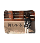 娘スタンプです♡（個別スタンプ：5）