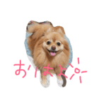 フヌーピー3（個別スタンプ：3）