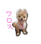 フヌーピー3（個別スタンプ：4）