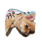 フヌーピー3（個別スタンプ：6）
