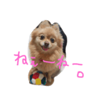 フヌーピー3（個別スタンプ：7）