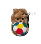 フヌーピー3（個別スタンプ：8）
