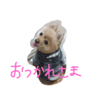 フヌーピー3（個別スタンプ：10）