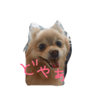 フヌーピー3（個別スタンプ：13）