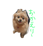フヌーピー3（個別スタンプ：14）