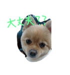 フヌーピー3（個別スタンプ：20）