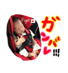 ほっくん001（個別スタンプ：12）