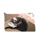 ねこのミィ（個別スタンプ：3）