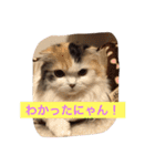 happy's dairy life two（個別スタンプ：2）